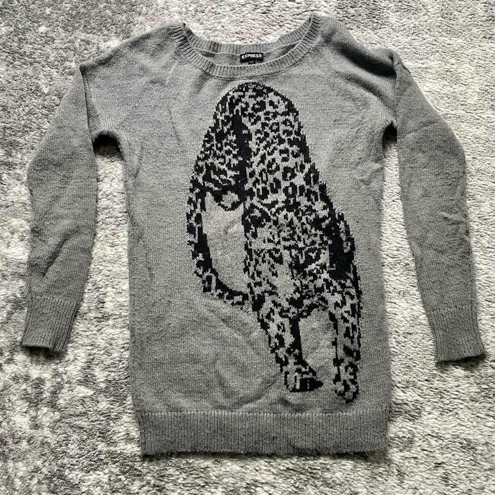 Gray Express Sweater - Cheetah - Size: Small - Picture 1 of 3